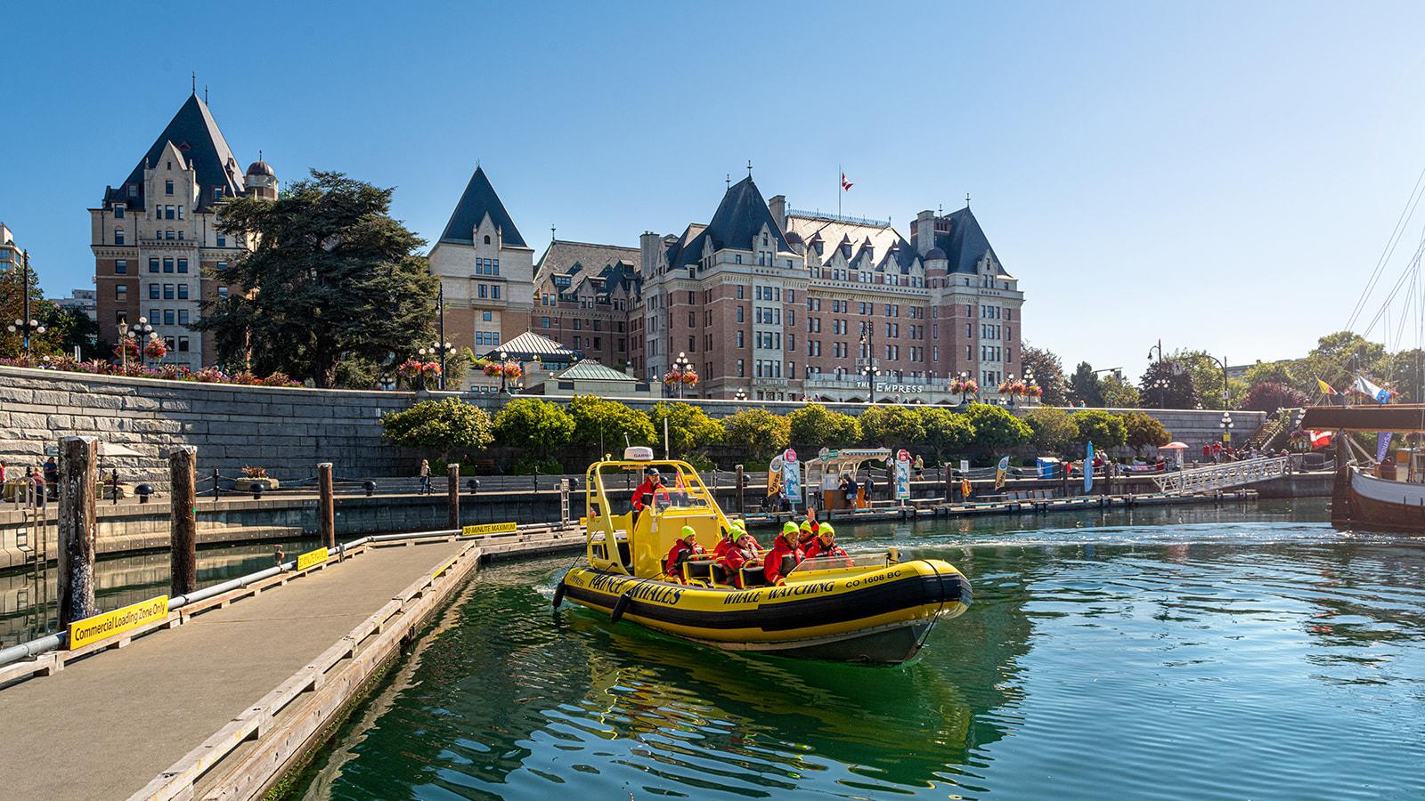 whale watching tour in Victoria BC