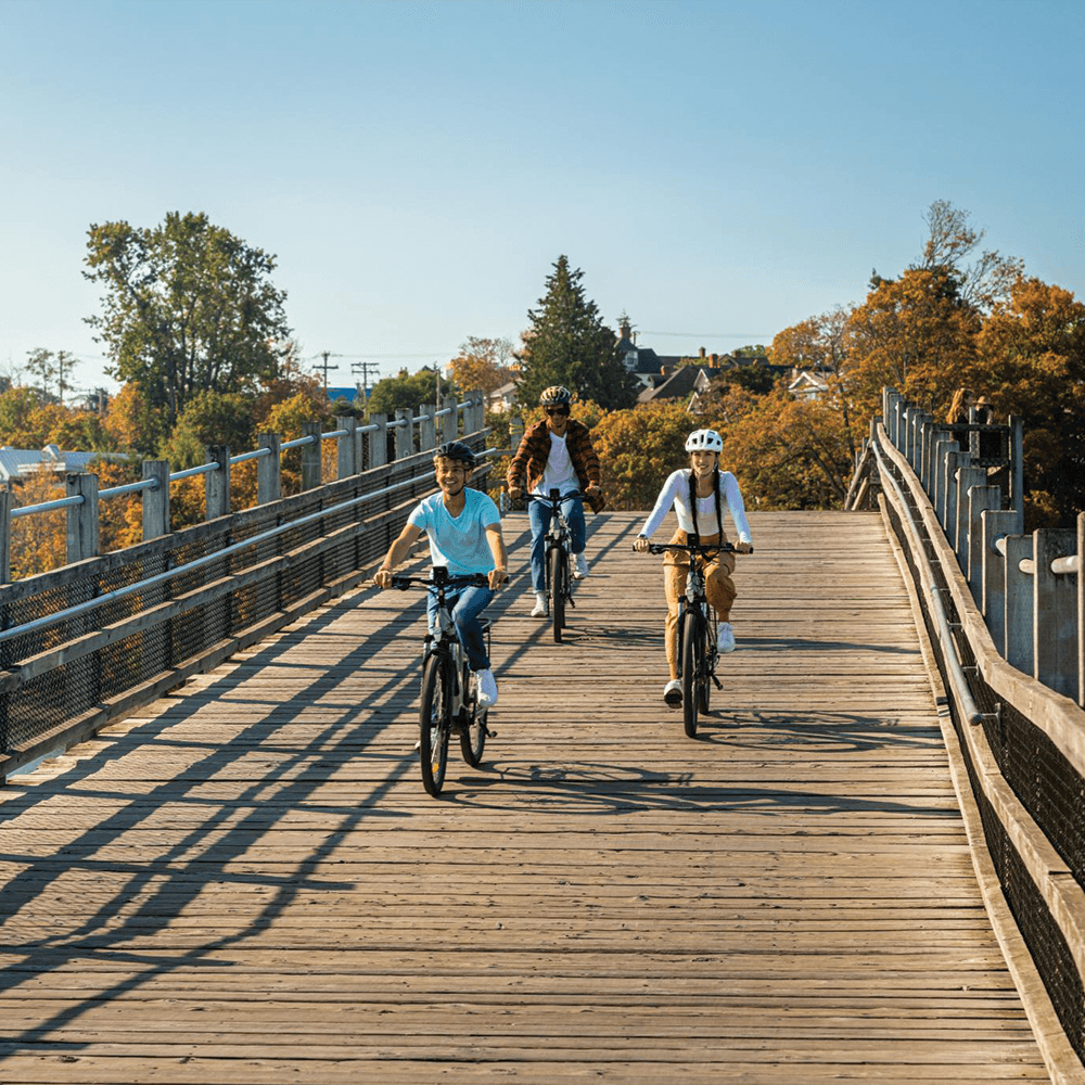 A group of friends bike along the Selkirk Trestle